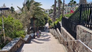 2024-01-Paseo_Costa_Canaria-San_Agustin-Ingles-196.jpg